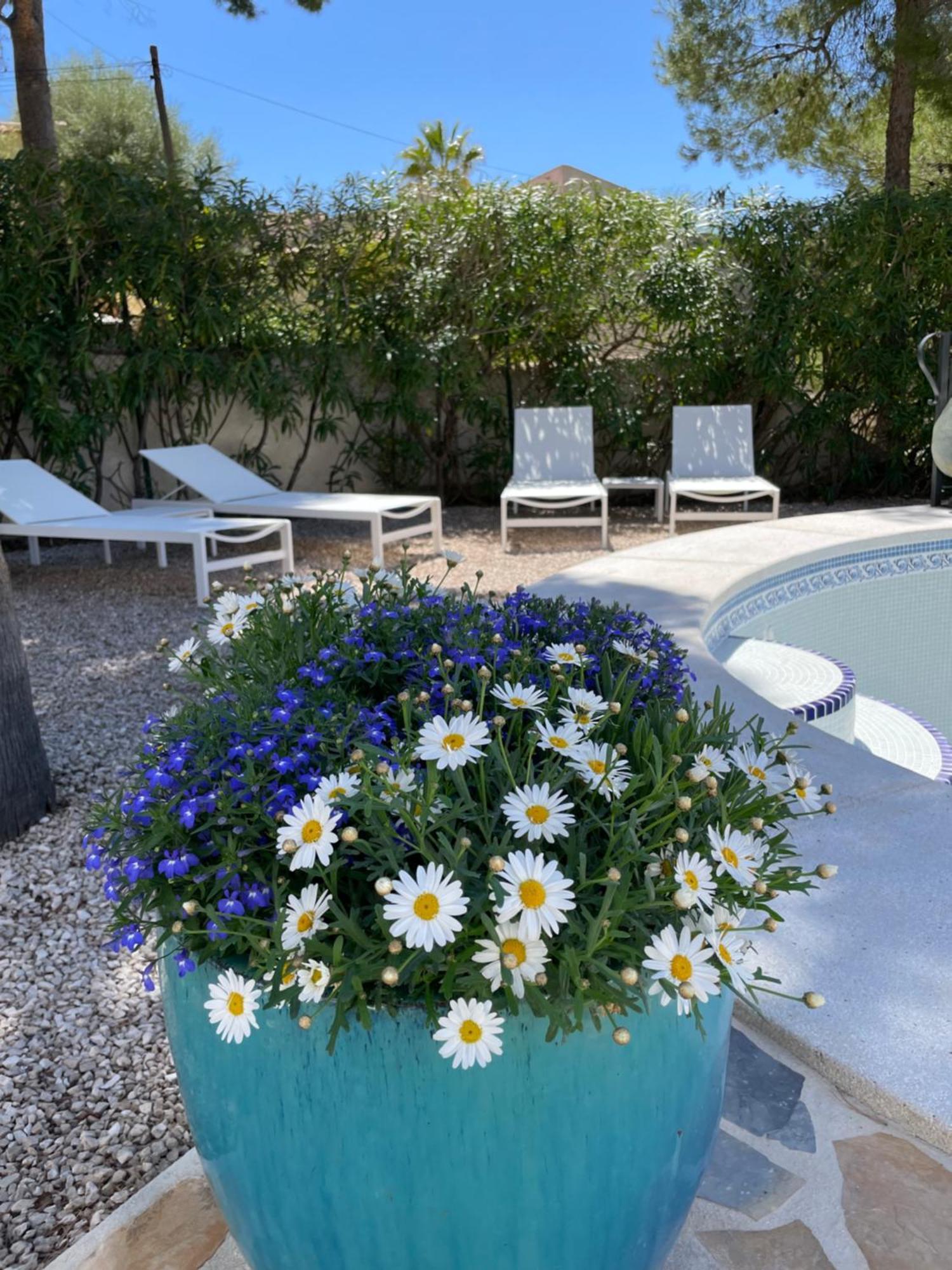 Casa Les Fremeaux Apartment Altea Exterior photo